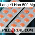 Lang Yi Hao 500 Mg 27